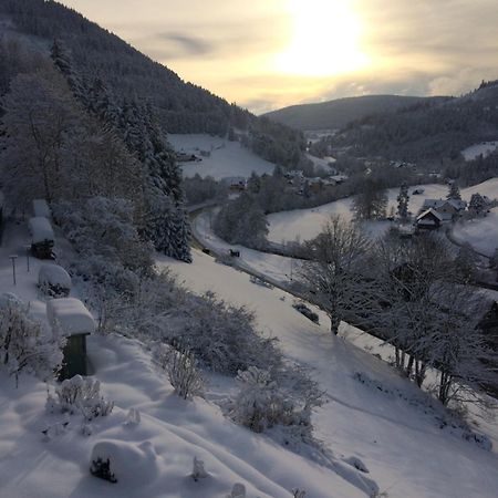 Altes Berghaus Apartment Obertal  Екстериор снимка