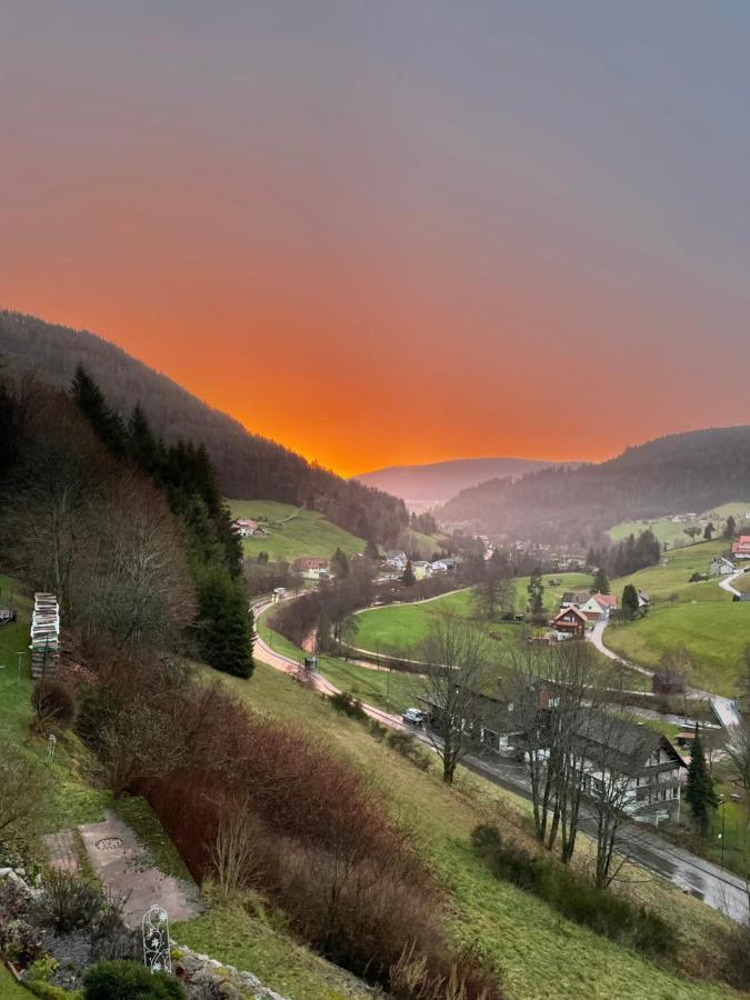 Altes Berghaus Apartment Obertal  Екстериор снимка