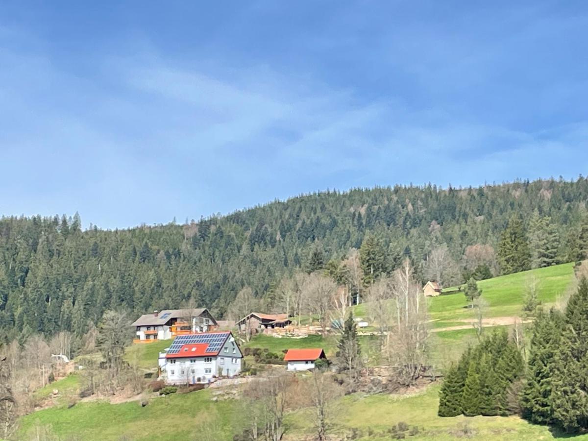 Altes Berghaus Apartment Obertal  Екстериор снимка