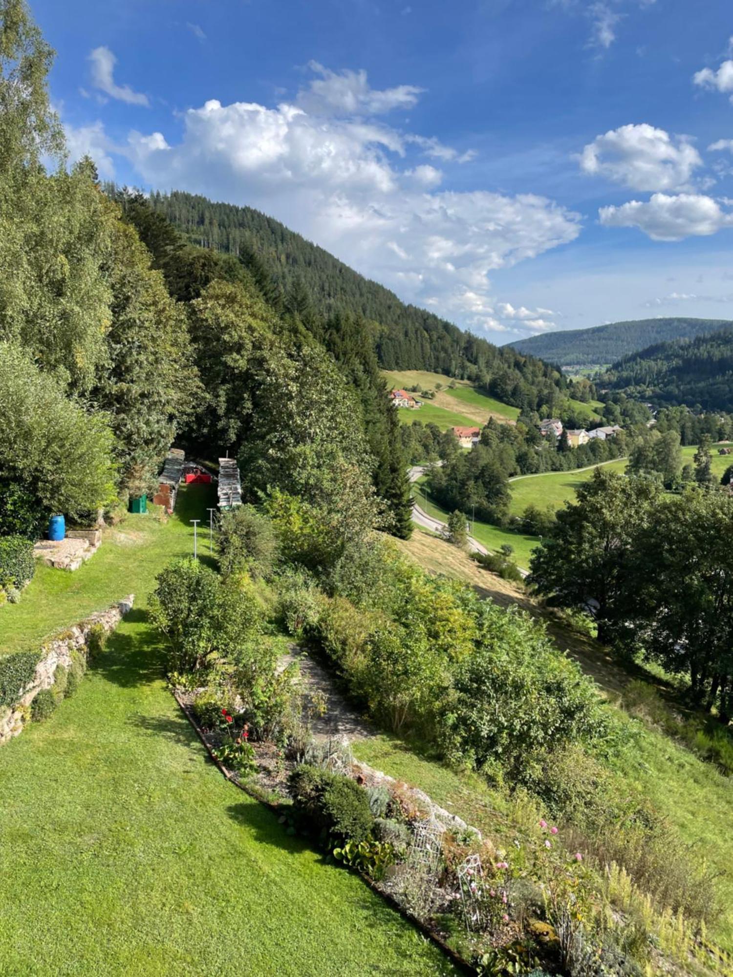 Altes Berghaus Apartment Obertal  Екстериор снимка