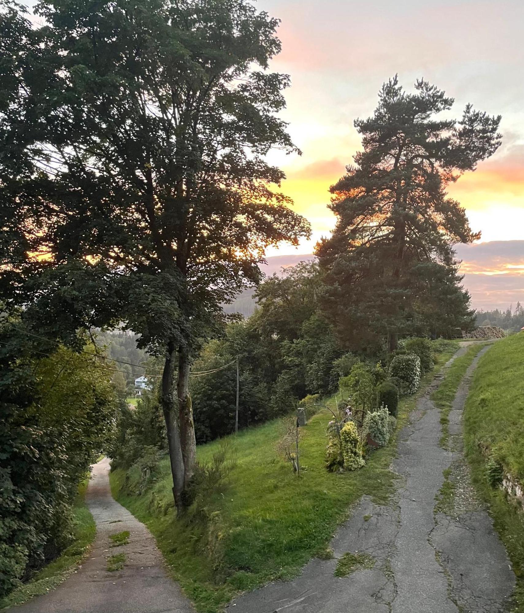 Altes Berghaus Apartment Obertal  Екстериор снимка