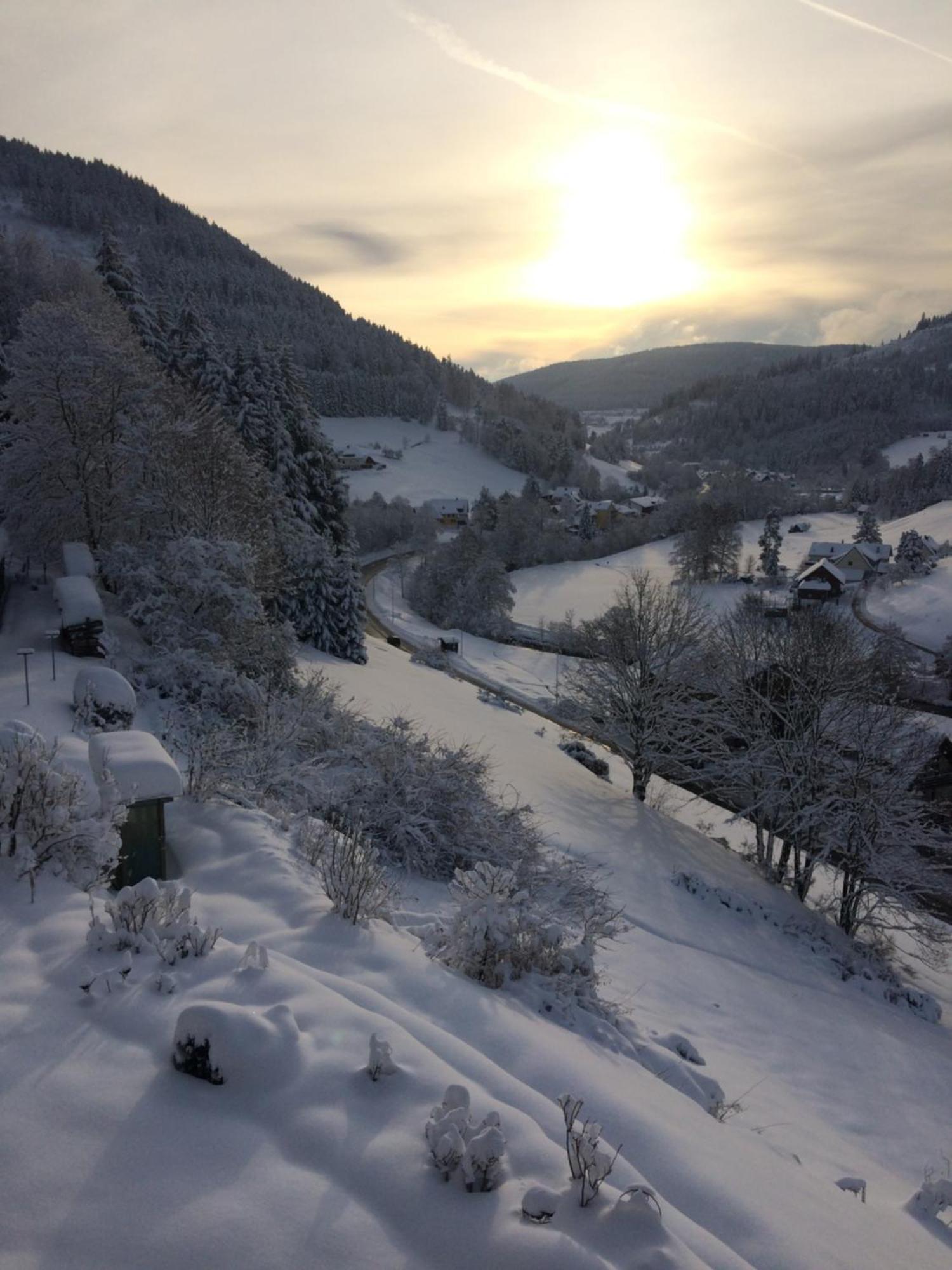 Altes Berghaus Apartment Obertal  Екстериор снимка